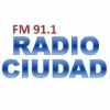 Ciudad 91.1 FM